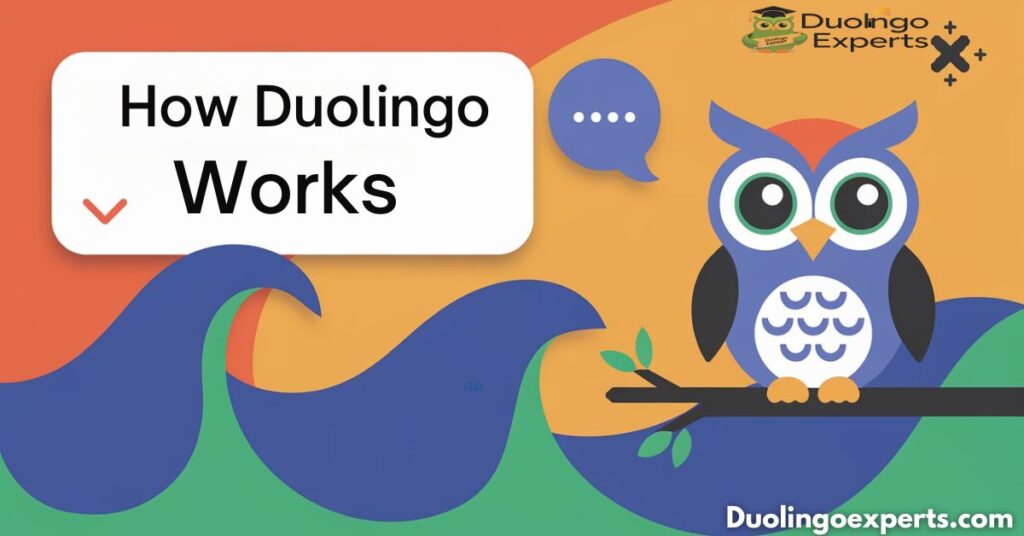 How Duolingo Works