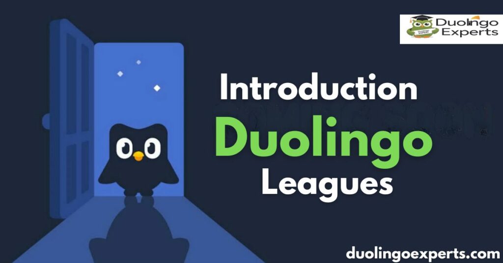 Introduction to Duolingo Leagues