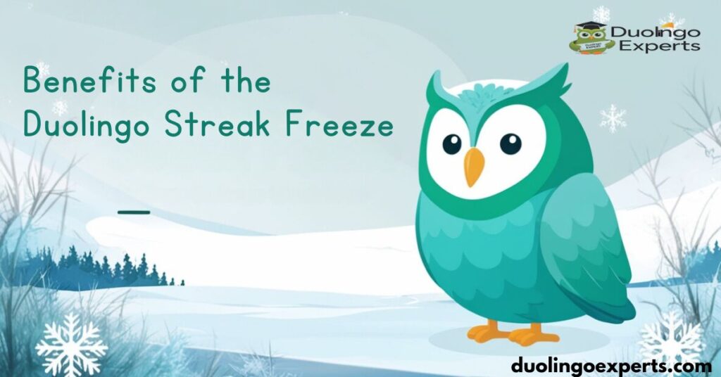 Benefits of the Duolingo Streak Freeze