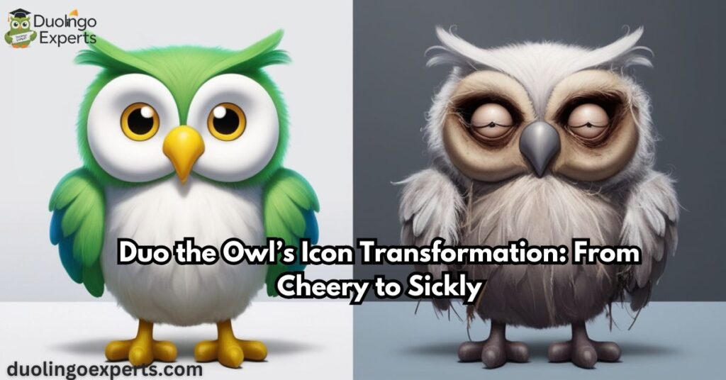 Duo the Owl’s Icon Transformation From Cheery to Sickly