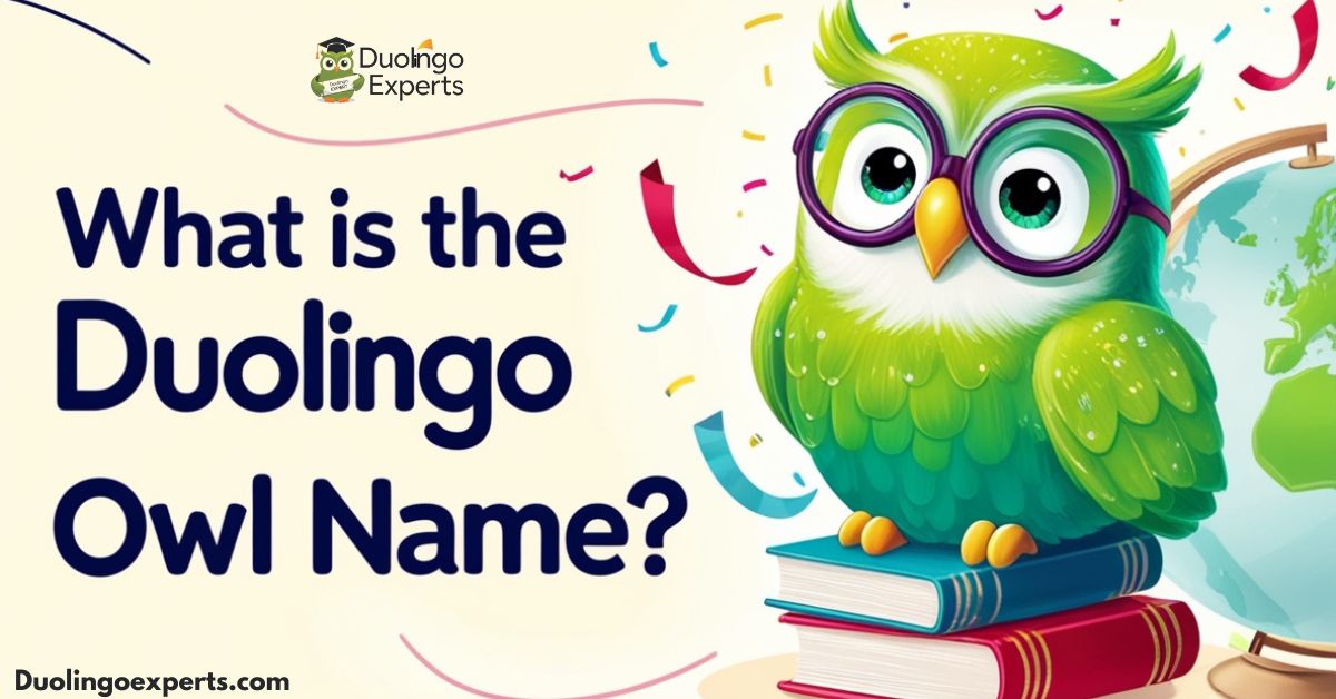 Duolingo Owl Name