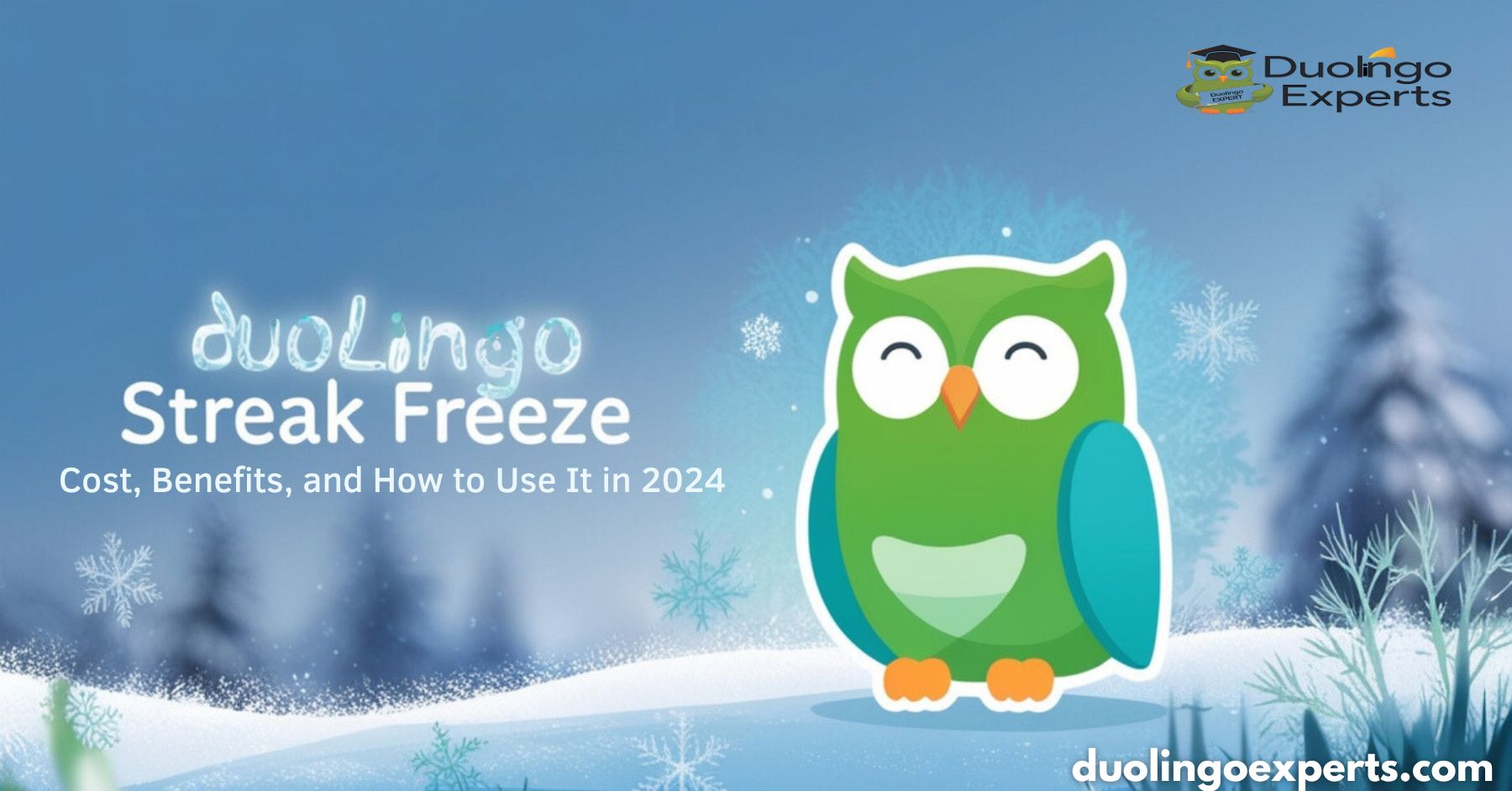 Duolingo Streak Freeze