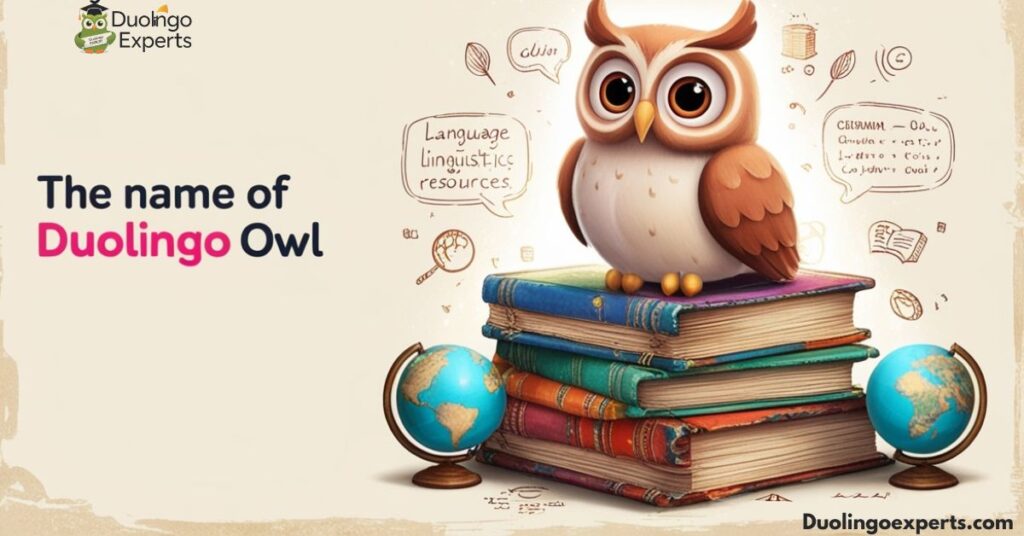 The Name of Duolingo Owl