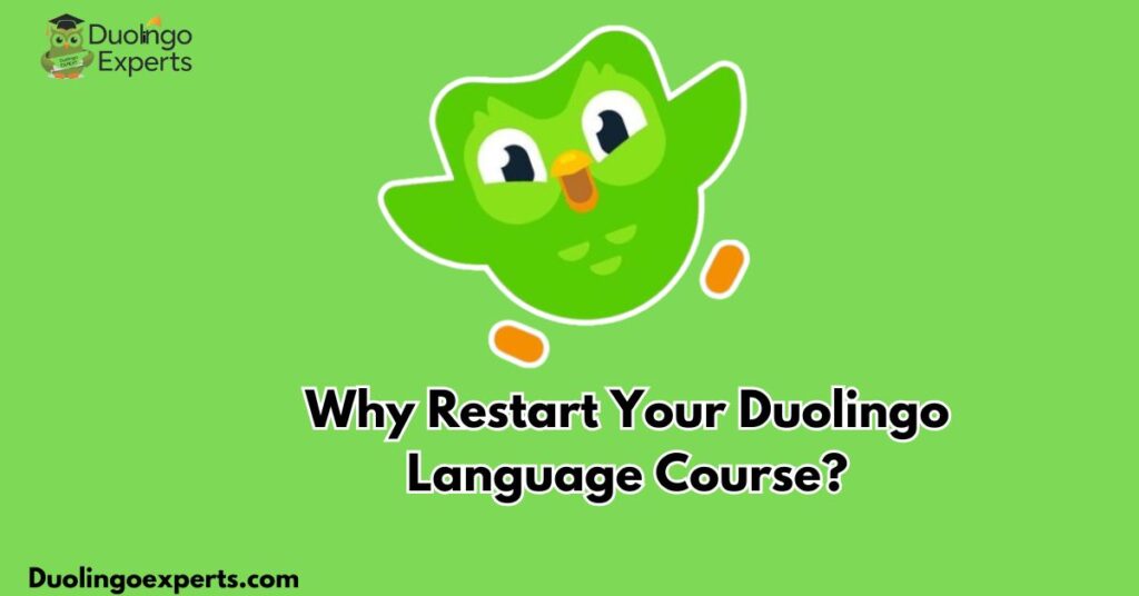 Why Restart Your Duolingo Language Course