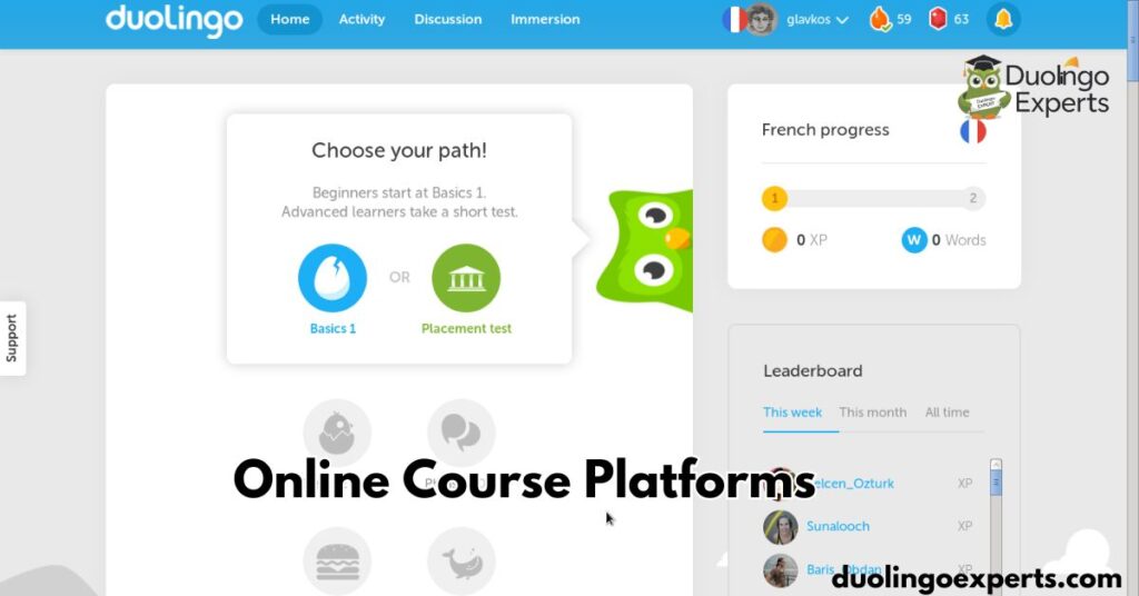 online course platforms duolingo