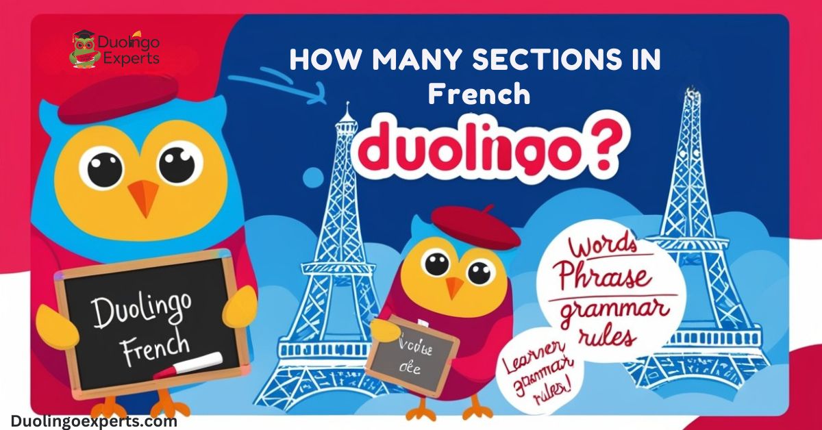 How Many Sections in Duolingo French