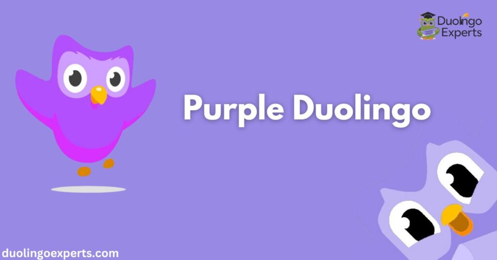 Purple Duolingo