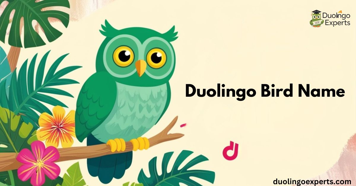 duolingo bird name